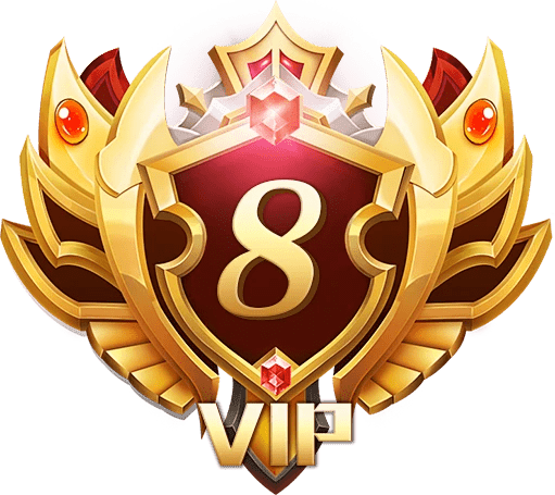 Gói VIP 8