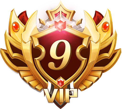 Gói VIP 9